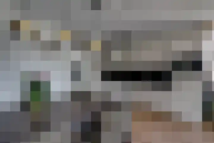 Majoraan 27 Oisterwijk thumbnail 24