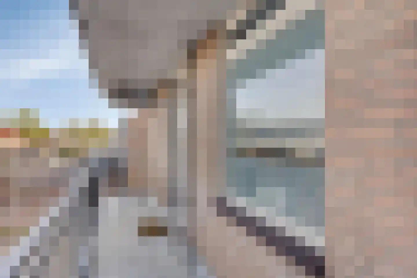 Majoraan 27 Oisterwijk thumbnail 32