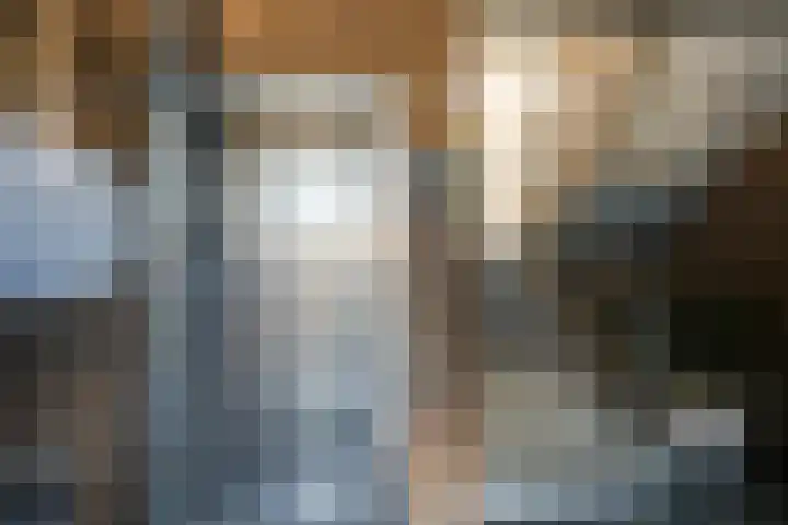 Majoraan 27 Oisterwijk thumbnail 5