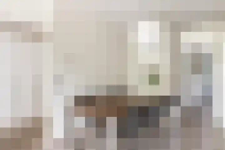 Majoraan 29 Oisterwijk thumbnail 11