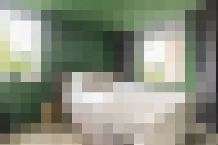 Majoraan 29 Oisterwijk thumbnail 16