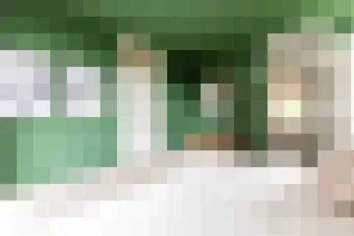Majoraan 29 Oisterwijk thumbnail 17