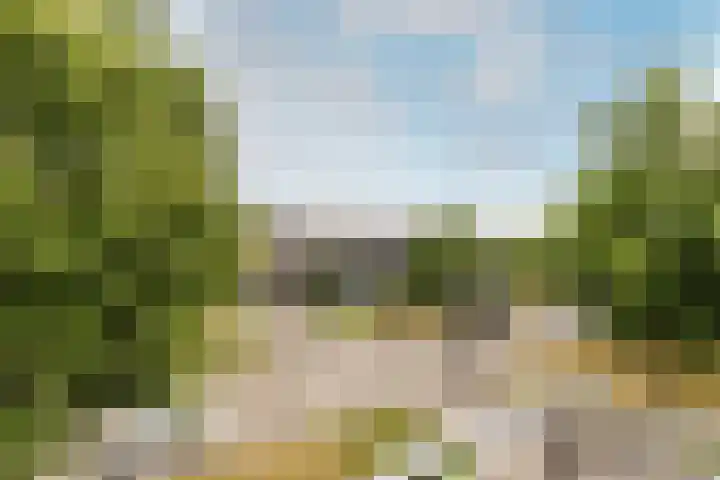 Majoraan 29 Oisterwijk thumbnail 19