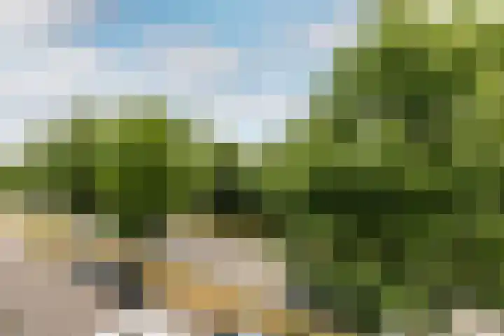 Majoraan 29 Oisterwijk thumbnail 20