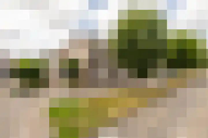 Majoraan 29 Oisterwijk thumbnail 26
