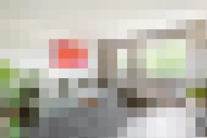 Majoraan 29 Oisterwijk thumbnail 8