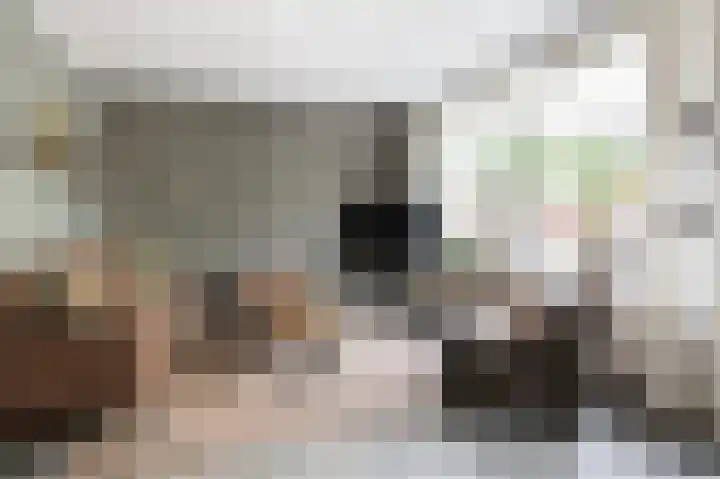 Majoraan 29 Raalte thumbnail 10