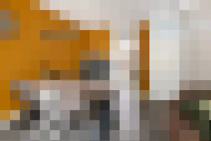 Majoraan 29 Raalte thumbnail 12