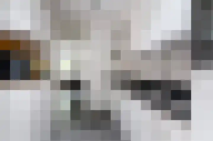 Majoraan 29 Raalte thumbnail 13