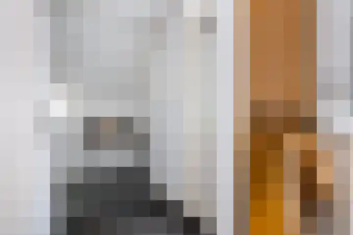 Majoraan 29 Raalte thumbnail 16