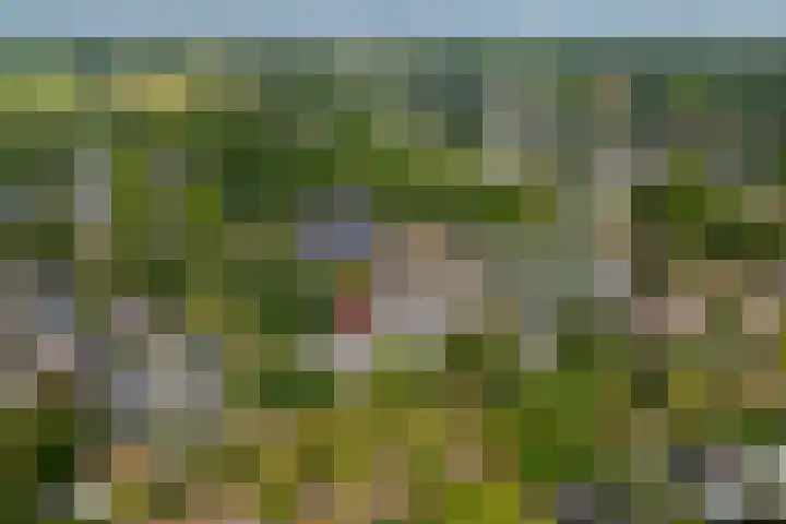 Majoraan 29 Raalte thumbnail 32