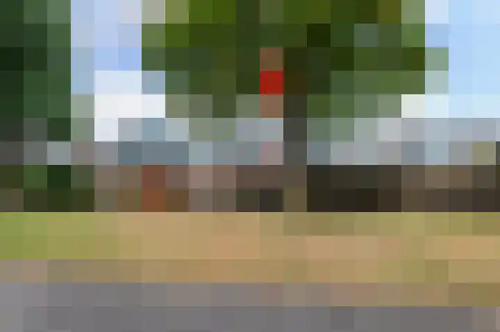 Majoraan 29 Raalte thumbnail 4