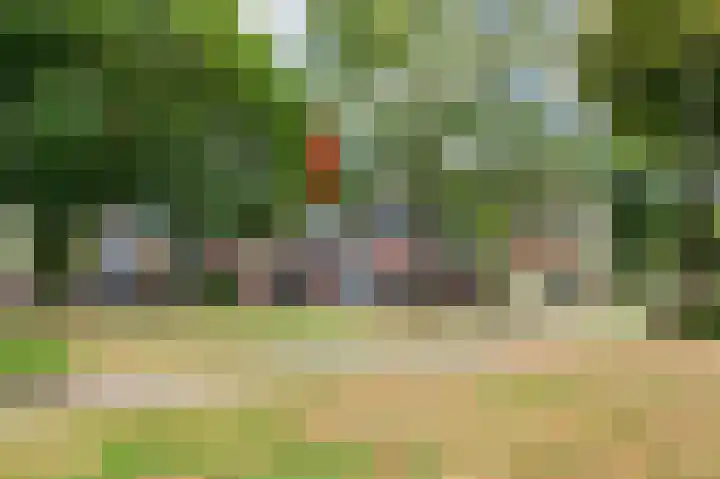 Majoraan 29 Raalte thumbnail 5