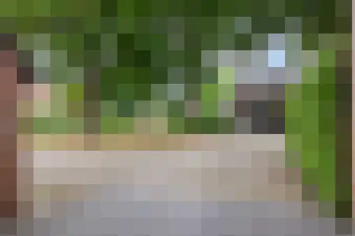 Majoraan 29 Raalte thumbnail 6