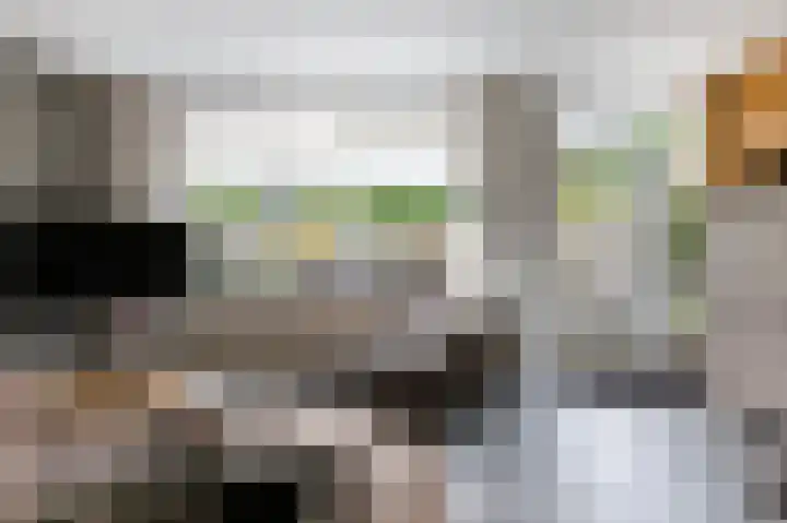 Majoraan 29 Raalte thumbnail 8