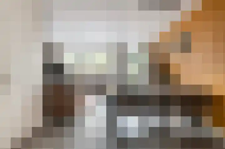 Majoraan 29 Raalte thumbnail 9