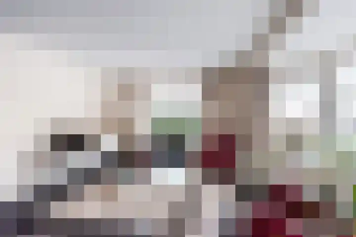 Majoraan 3 Gendringen thumbnail 11