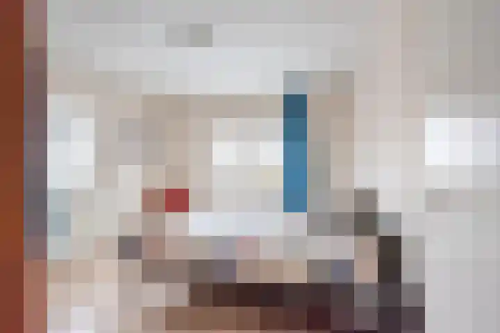 Majoraan 3 Gendringen thumbnail 22