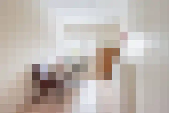 Majoraan 3 Gendringen thumbnail 28