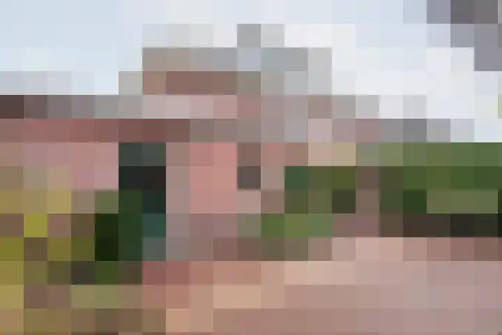 Majoraan 3 Gendringen thumbnail 37