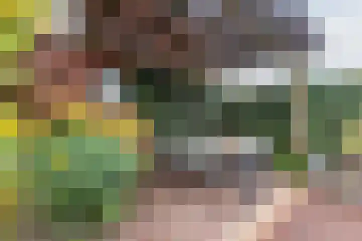 Majoraan 3 Gendringen thumbnail 38