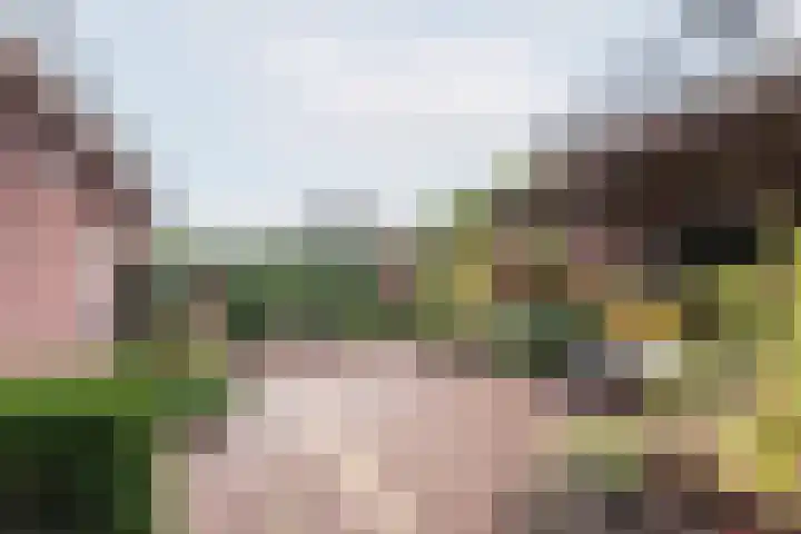 Majoraan 3 Gendringen thumbnail 4
