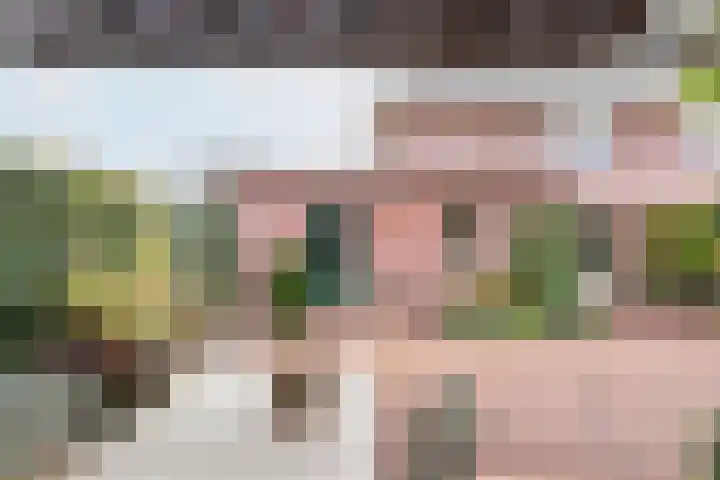 Majoraan 3 Gendringen thumbnail 40