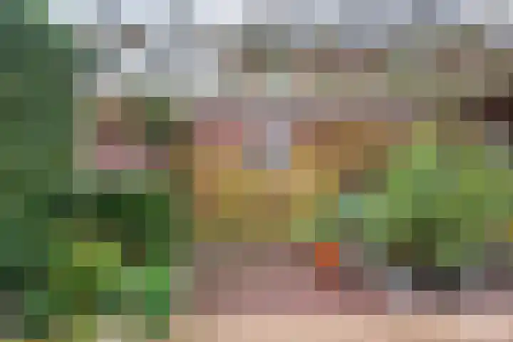 Majoraan 3 Gendringen thumbnail 41