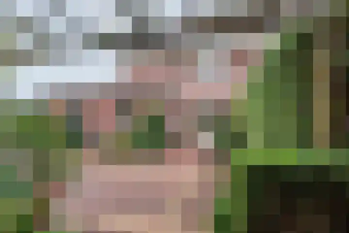 Majoraan 3 Gendringen thumbnail 42