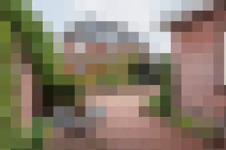 Majoraan 3 Gendringen thumbnail 43