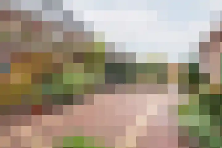 Majoraan 3 Gendringen thumbnail 44