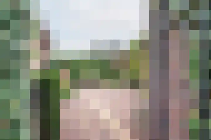 Majoraan 3 Gendringen thumbnail 45