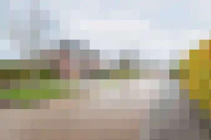Majoraan 3 Gendringen thumbnail 47