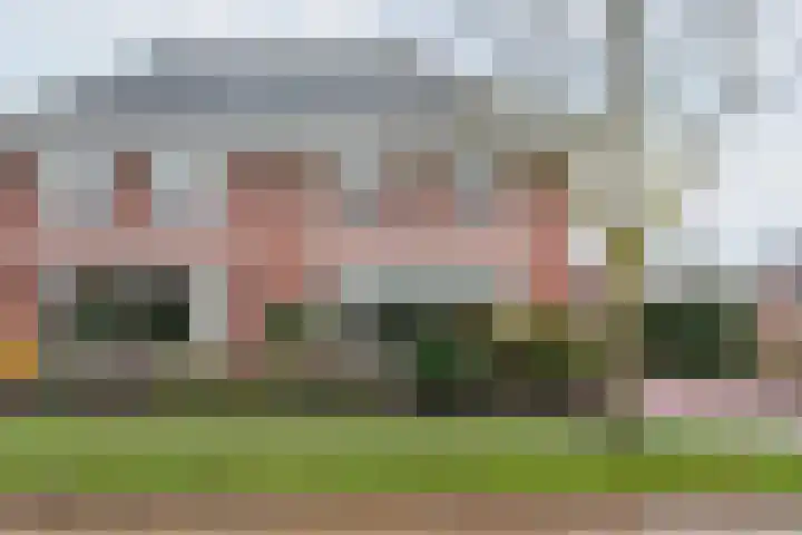 Majoraan 3 Gendringen thumbnail 5