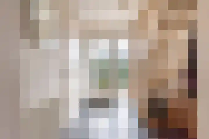 Majoraan 3 Gendringen thumbnail 8