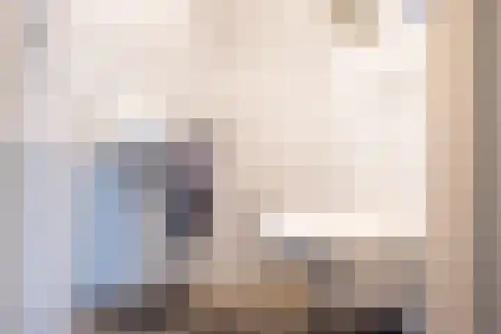 Majoraan 3 Gendringen thumbnail 9