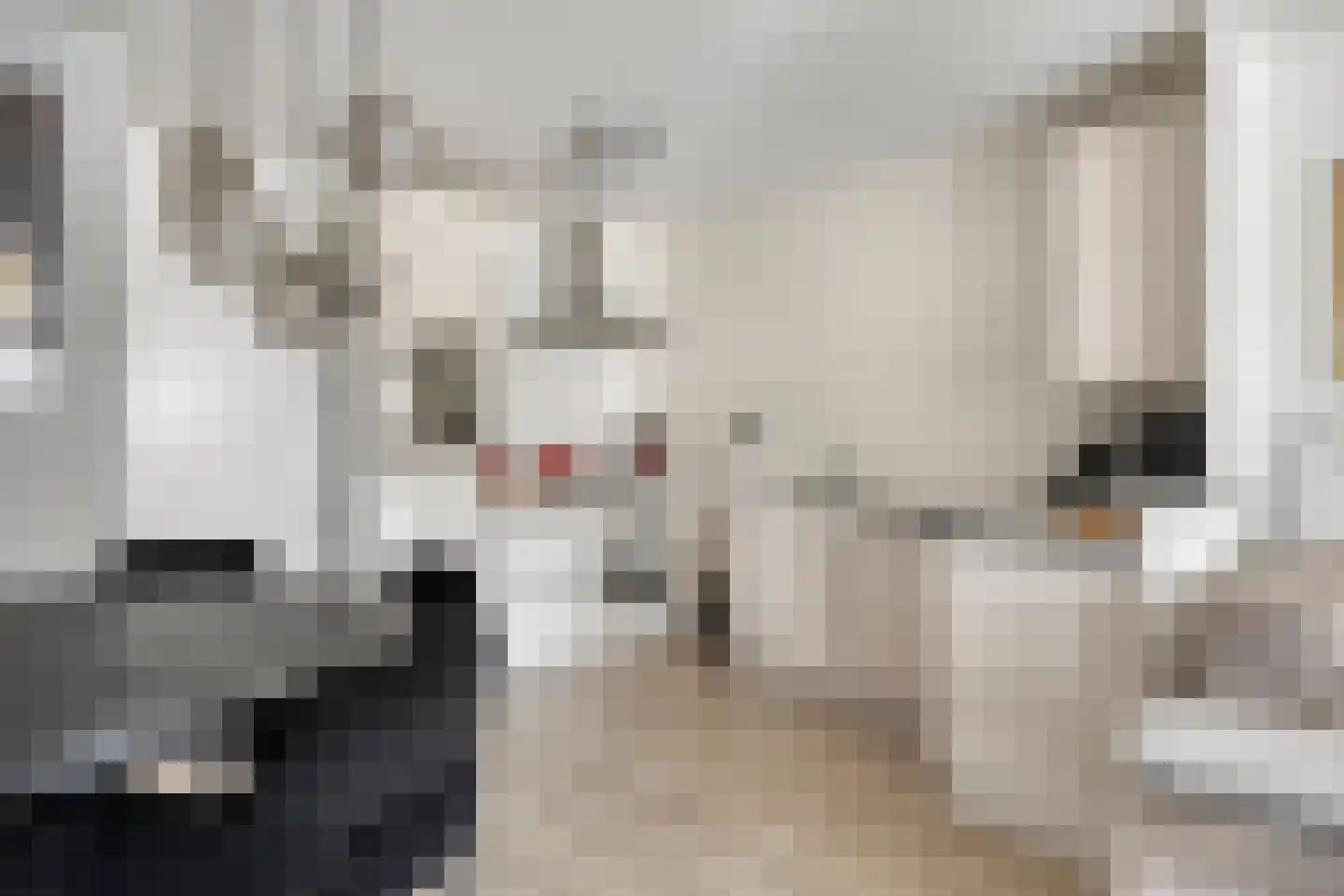 Majoraan 3 Oisterwijk thumbnail 14