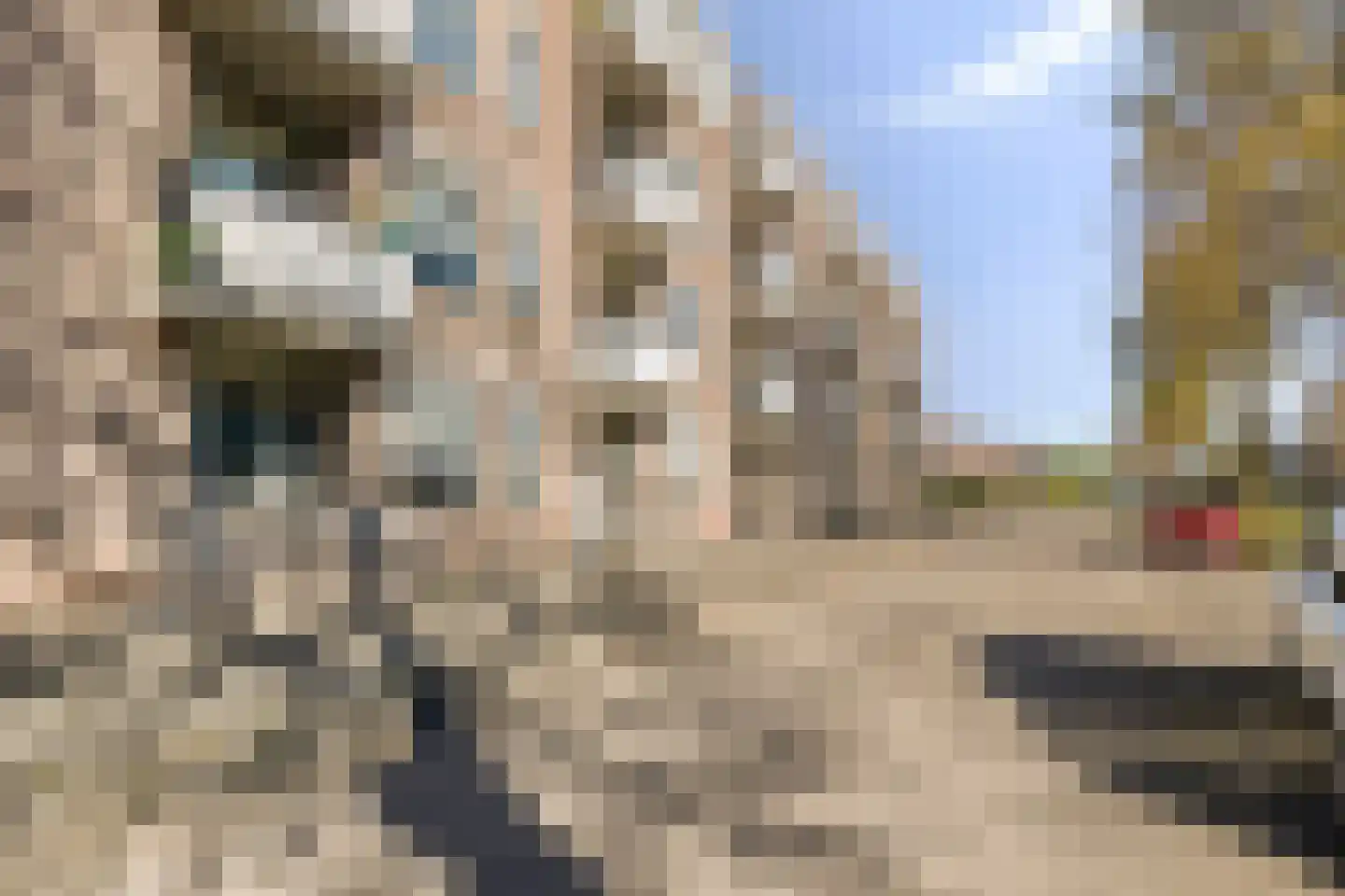Majoraan 3 Oisterwijk thumbnail 25