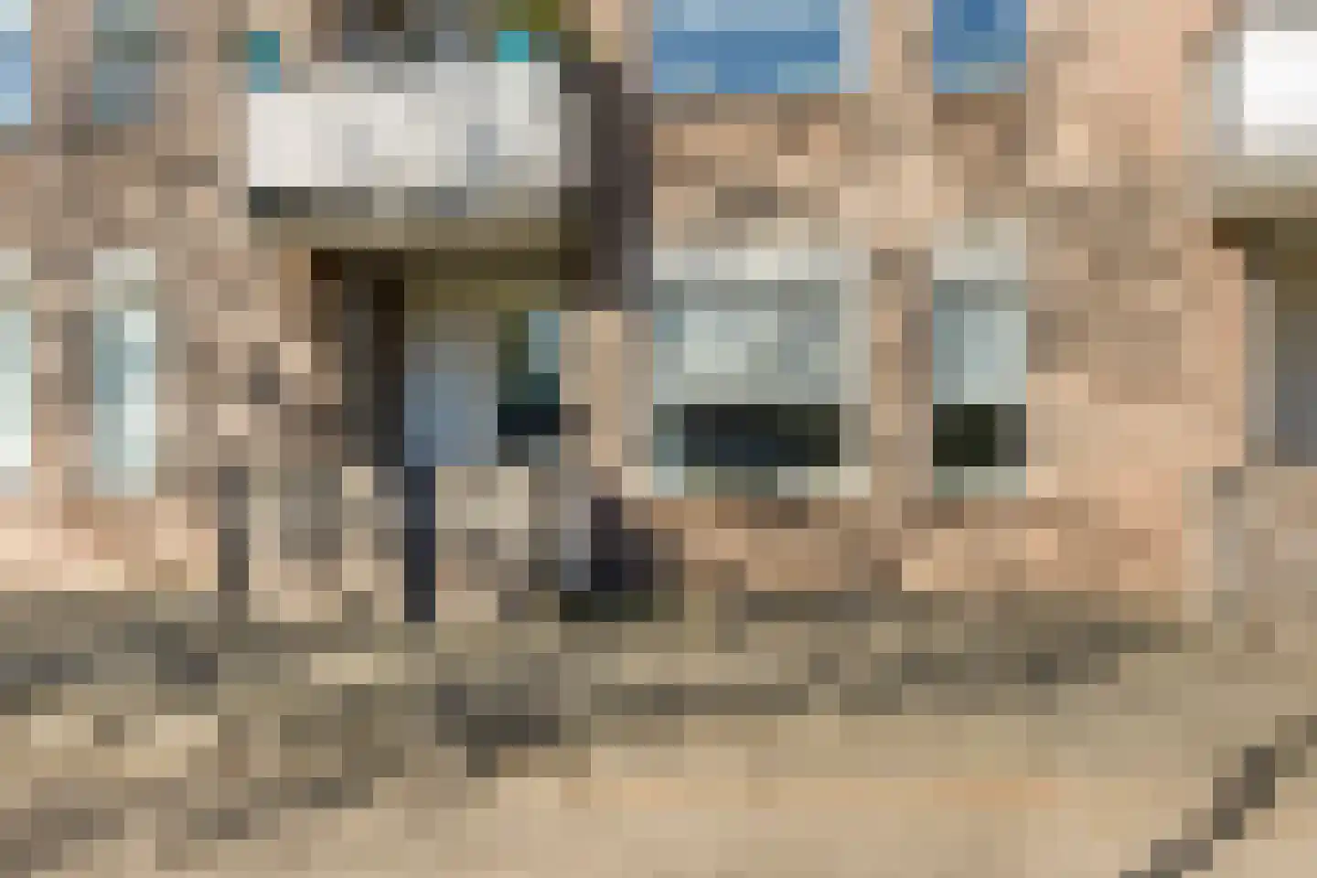 Majoraan 3 Oisterwijk thumbnail 26