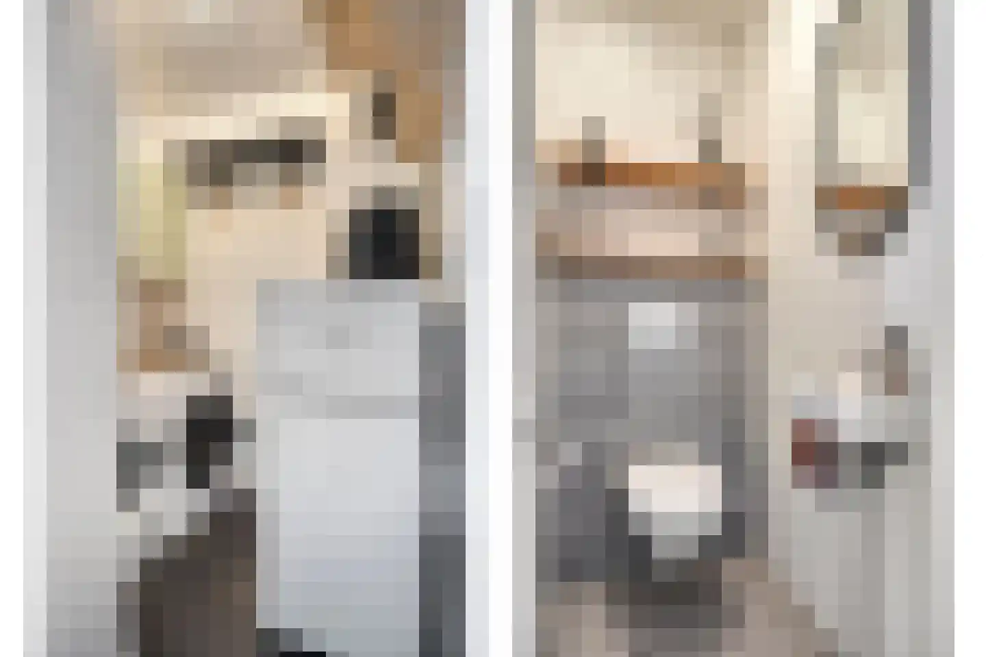 Majoraan 3 Oisterwijk thumbnail 9