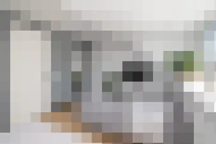 Majoraan 33 Dronten thumbnail 11