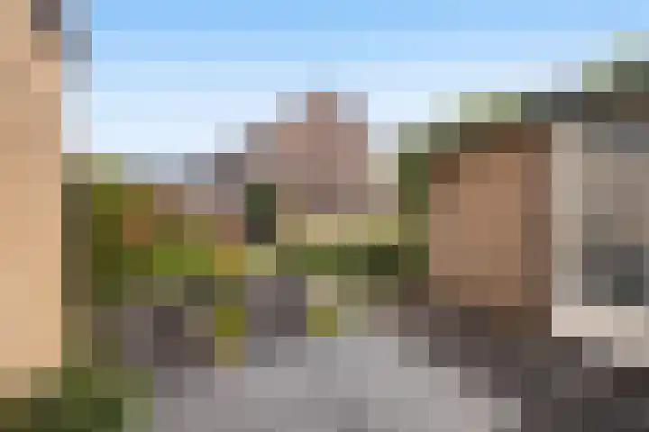 Majoraan 33 Dronten thumbnail 25