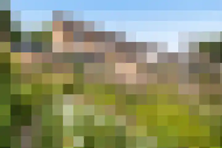 Majoraan 33 Dronten thumbnail 4