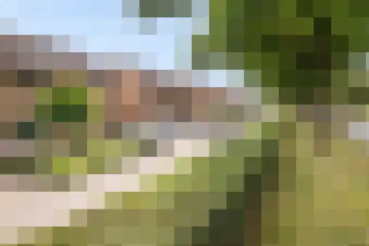 Majoraan 33 Dronten thumbnail 6