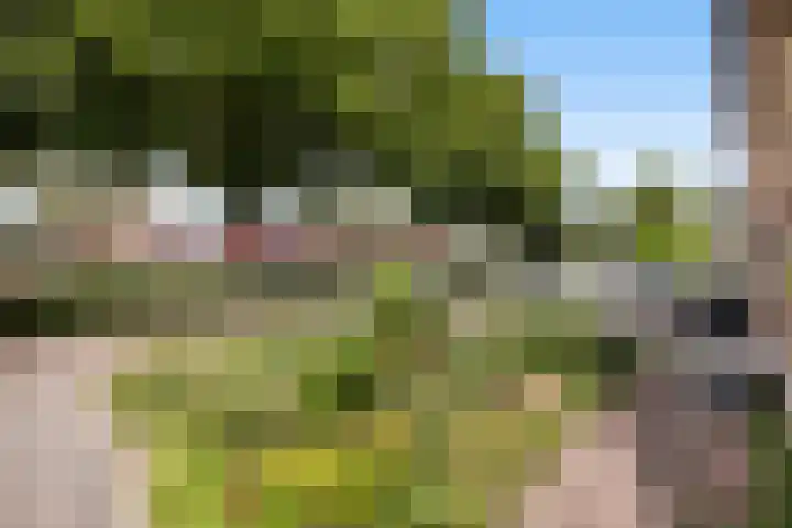 Majoraan 33 Dronten thumbnail 7