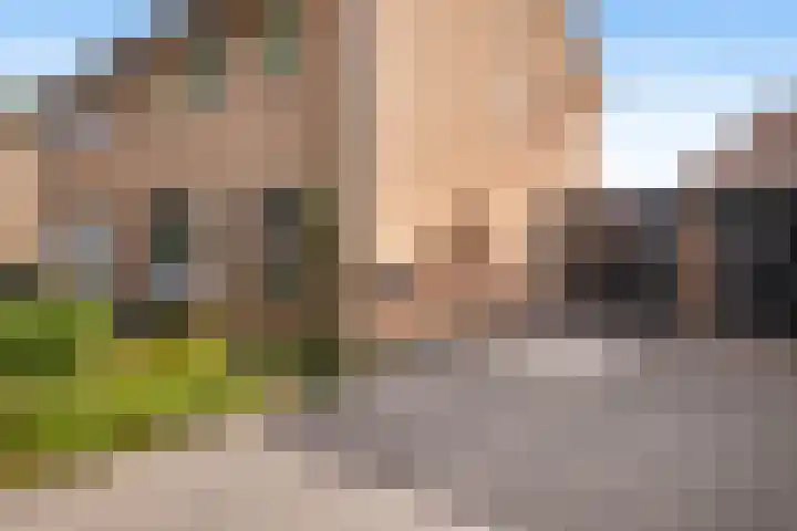 Majoraan 33 Dronten thumbnail 8