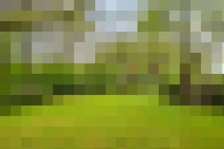 Majoraan 35 Dronten thumbnail 13