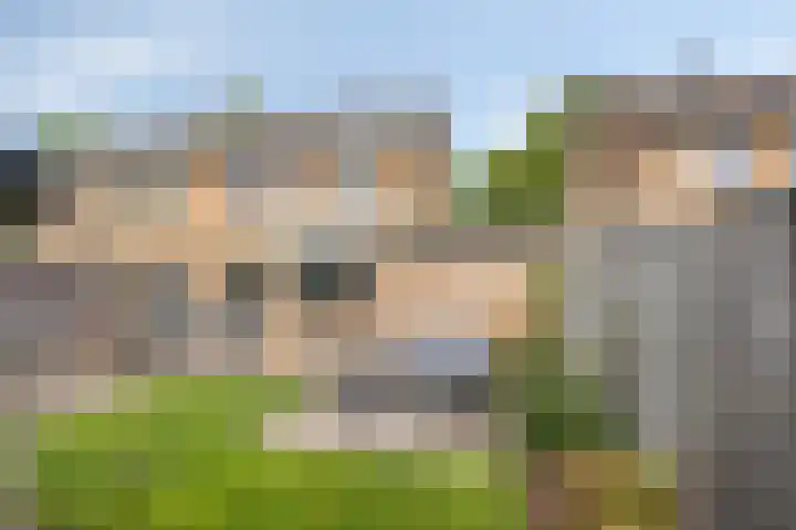 Majoraan 35 Dronten thumbnail 36