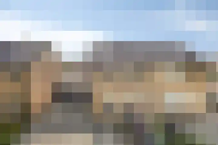 Majoraan 35 Dronten thumbnail 41
