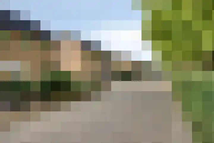 Majoraan 35 Dronten thumbnail 43